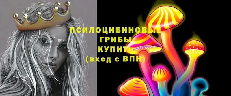 наркота  Туринск  blacksprut сайт  Псилоцибиновые грибы Psilocybe 